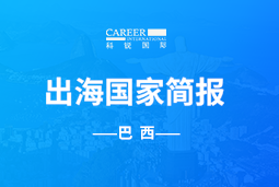 PA真人国际GO GLOBAL | 巴西国家简报